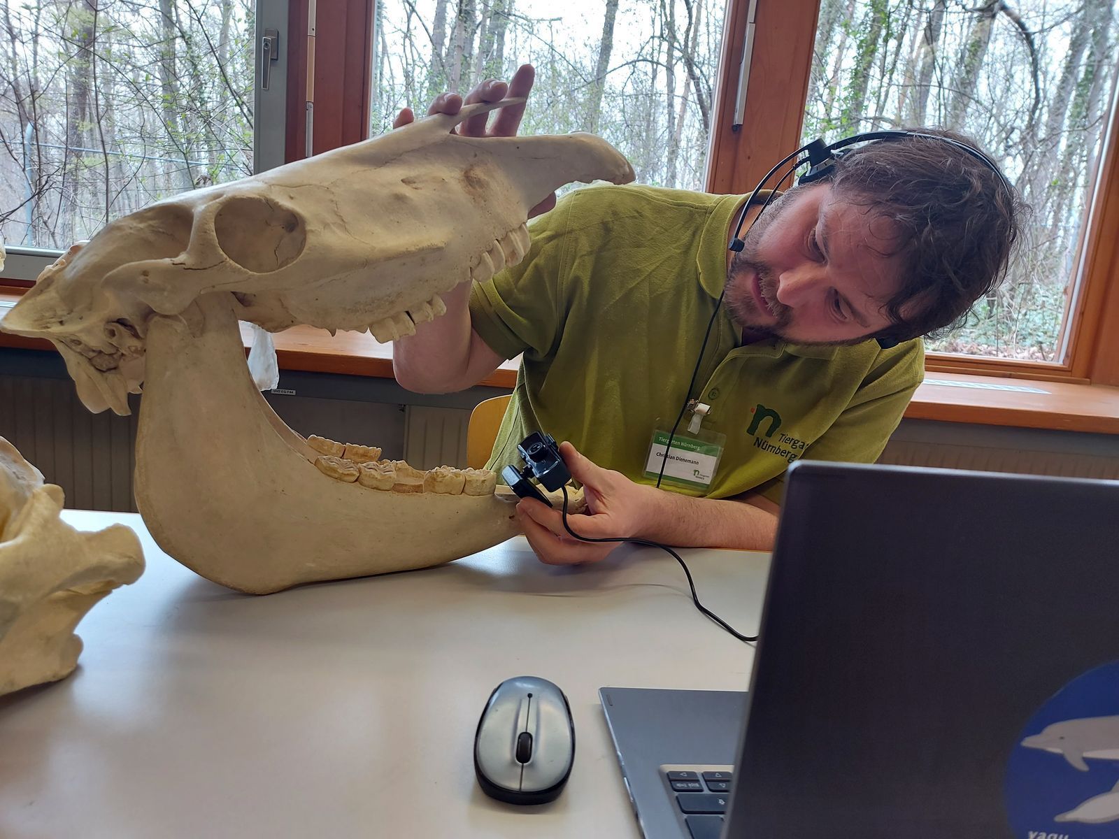 Zoopädagoge Christian Dienemann zeigt ein Tiergebiss während einer digitalen Unterrichtseinheit zum Thema Zähne.